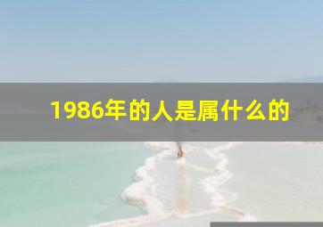 1986年的人是属什么的