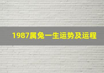 1987属兔一生运势及运程