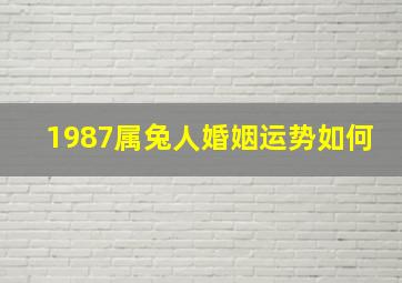 1987属兔人婚姻运势如何