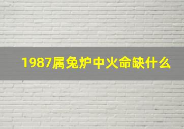 1987属兔炉中火命缺什么