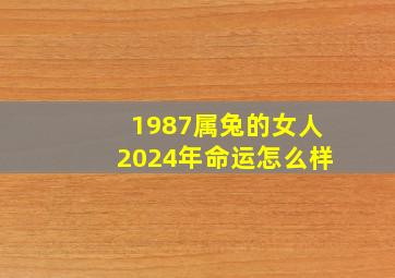 1987属兔的女人2024年命运怎么样