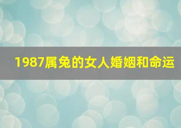 1987属兔的女人婚姻和命运