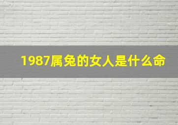 1987属兔的女人是什么命