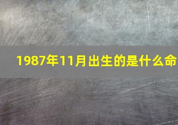 1987年11月出生的是什么命