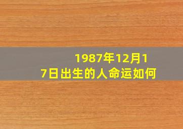 1987年12月17日出生的人命运如何