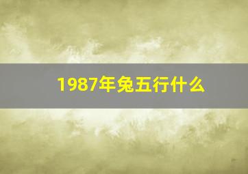 1987年兔五行什么