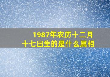 1987年农历十二月十七出生的是什么属相