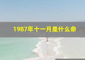 1987年十一月是什么命