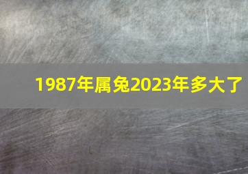 1987年属兔2023年多大了