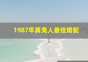 1987年属兔人最佳婚配