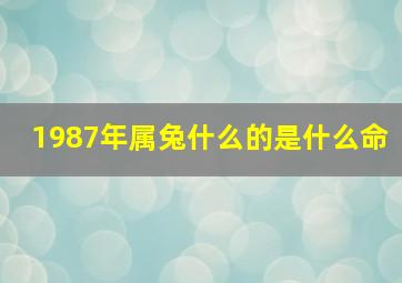 1987年属兔什么的是什么命