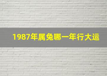 1987年属兔哪一年行大运