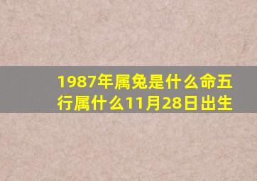 1987年属兔是什么命五行属什么11月28日出生