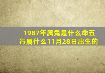 1987年属兔是什么命五行属什么11月28日出生的