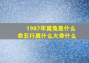 1987年属兔是什么命五行属什么火命什么