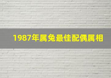 1987年属兔最佳配偶属相