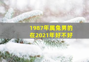 1987年属兔男的在2021年好不好