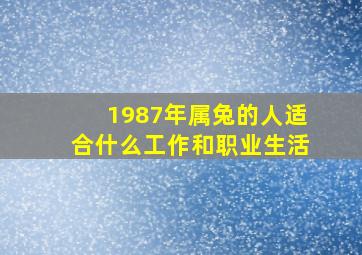 1987年属兔的人适合什么工作和职业生活