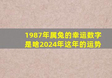 1987年属兔的幸运数字是啥2024年这年的运势