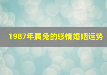 1987年属兔的感情婚姻运势