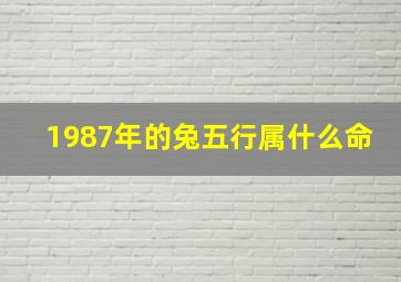 1987年的兔五行属什么命