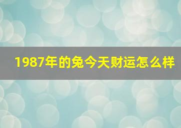 1987年的兔今天财运怎么样