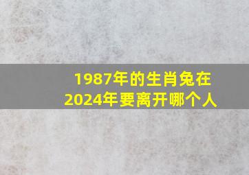 1987年的生肖兔在2024年要离开哪个人