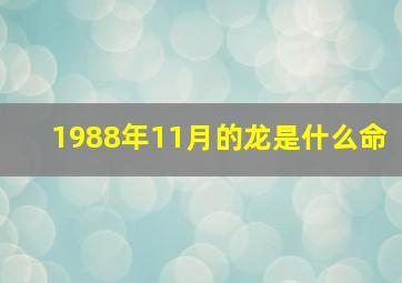 1988年11月的龙是什么命