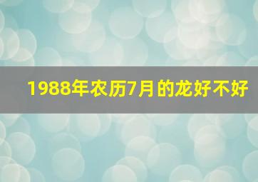 1988年农历7月的龙好不好