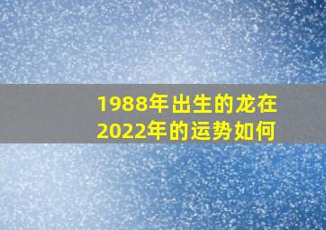 1988年出生的龙在2022年的运势如何