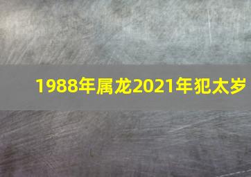 1988年属龙2021年犯太岁