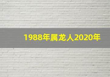 1988年属龙人2020年