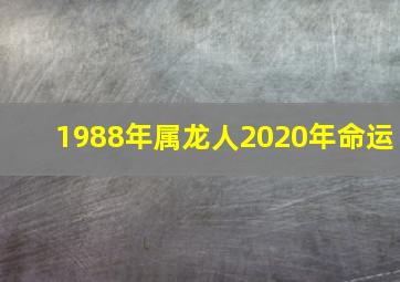 1988年属龙人2020年命运