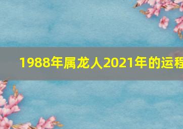 1988年属龙人2021年的运程