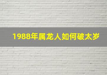 1988年属龙人如何破太岁