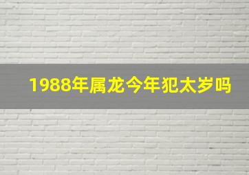 1988年属龙今年犯太岁吗