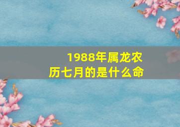 1988年属龙农历七月的是什么命