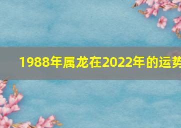 1988年属龙在2022年的运势