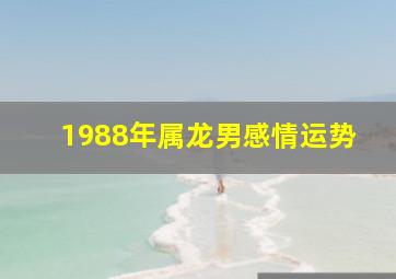 1988年属龙男感情运势