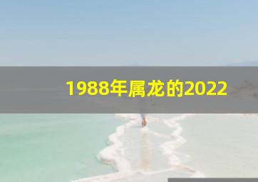 1988年属龙的2022