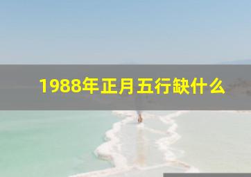 1988年正月五行缺什么