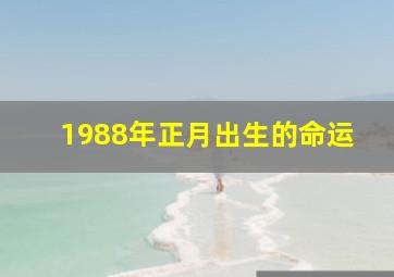 1988年正月出生的命运