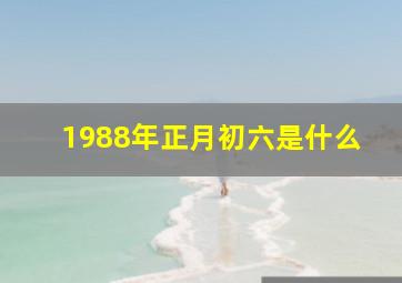 1988年正月初六是什么