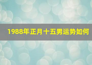 1988年正月十五男运势如何