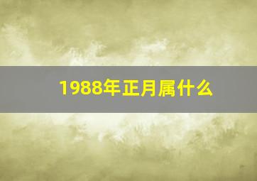 1988年正月属什么