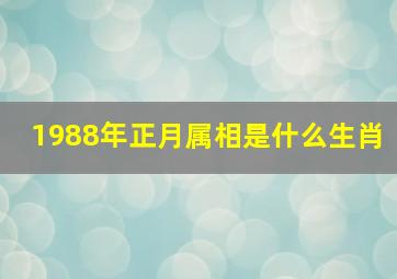 1988年正月属相是什么生肖