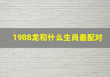 1988龙和什么生肖最配对