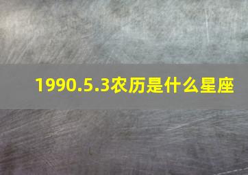 1990.5.3农历是什么星座