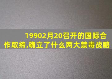 19902月20召开的国际合作取缔,确立了什么两大禁毒战略