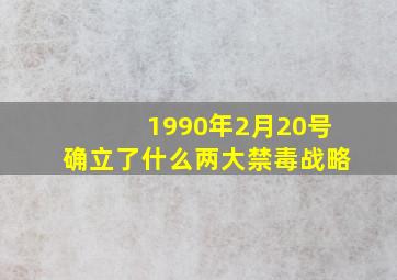 1990年2月20号确立了什么两大禁毒战略